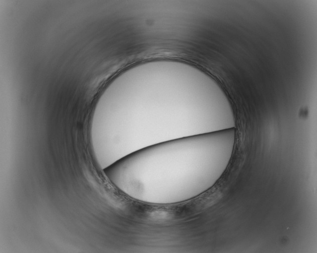 X0000116060358200911201206