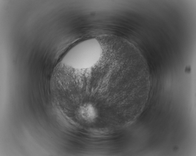 X0000116060359200911201206