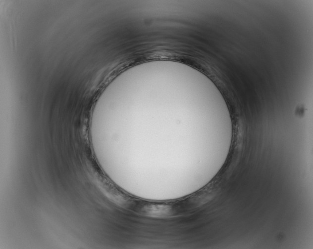 X0000116060361200911201206