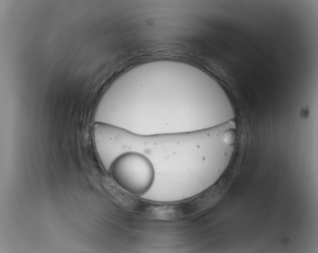 X0000116060366200911201206