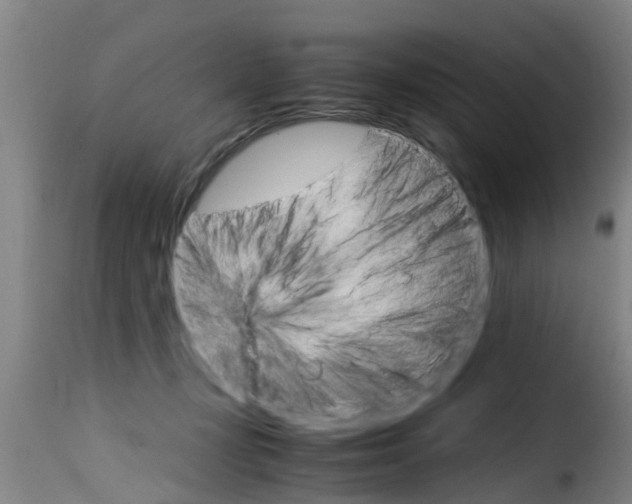 X0000116060367200911201206