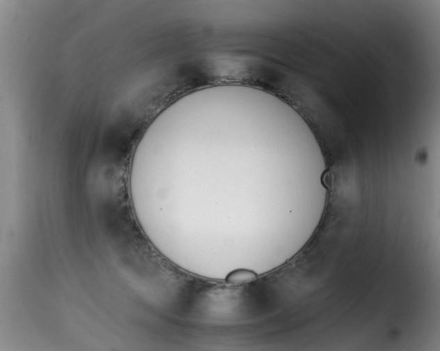 X0000116060369200911201206