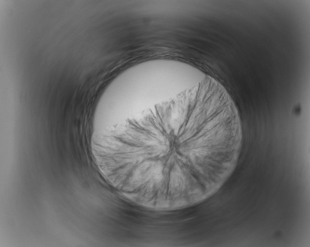 X0000116060371200911201206