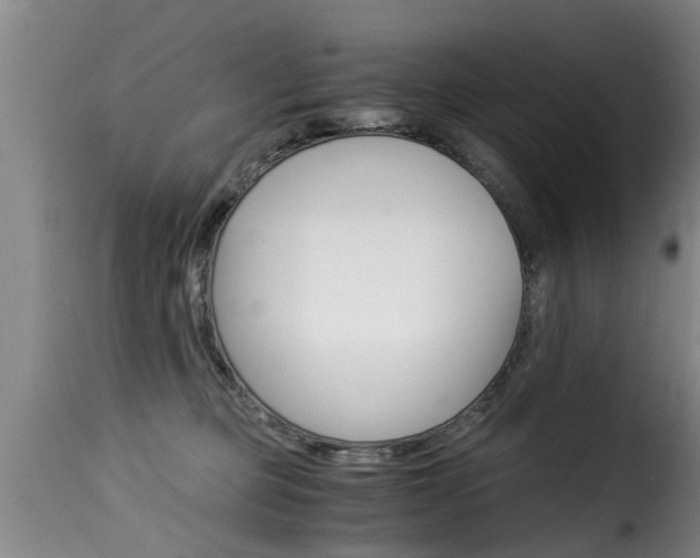 X0000116060373200911201206