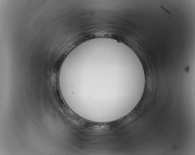 X0000116060375200911201206