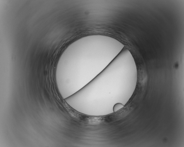 X0000116060378200911201206
