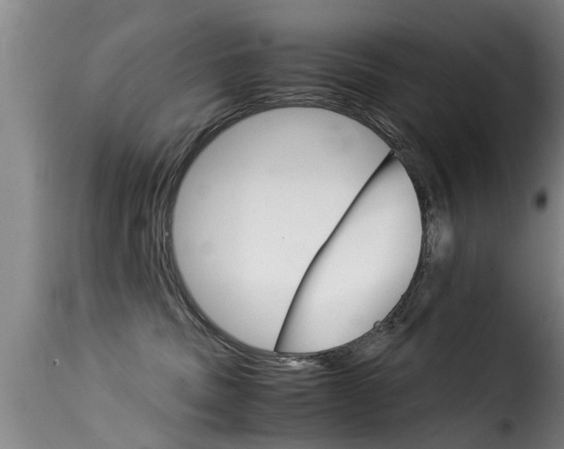 X0000116060379200911201206