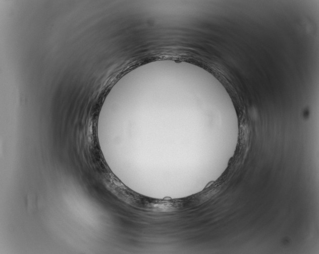 X0000116060381200911201206