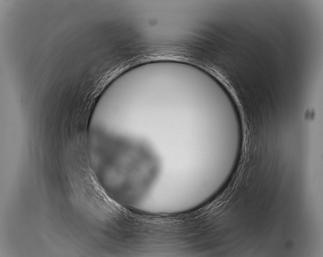 X0000116060385200911201206