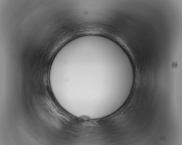 X0000116060386200911201206
