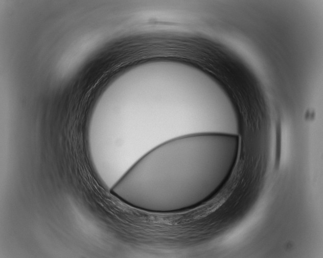 X0000116060387200911201206