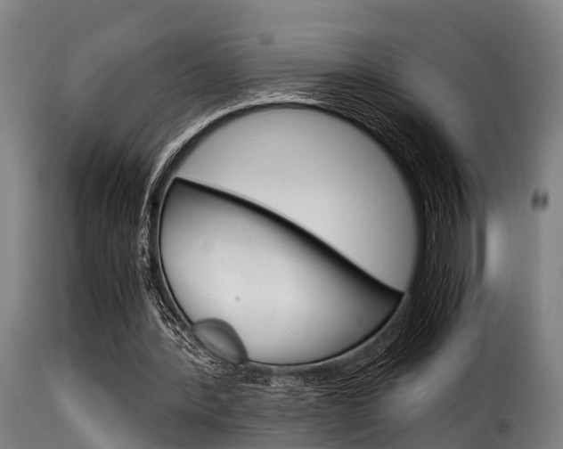 X0000116060388200911201206