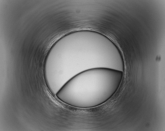 X0000116060389200911201205