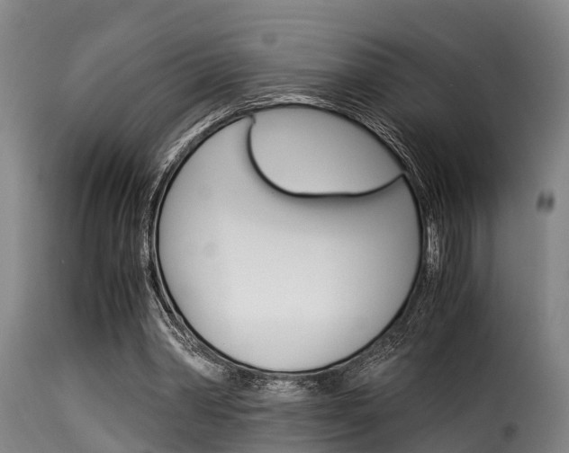 X0000116060390200911201205