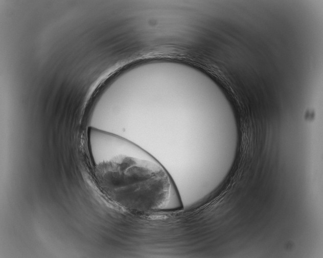X0000116060392200911201205