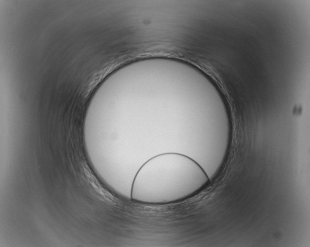 X0000116060393200911201205