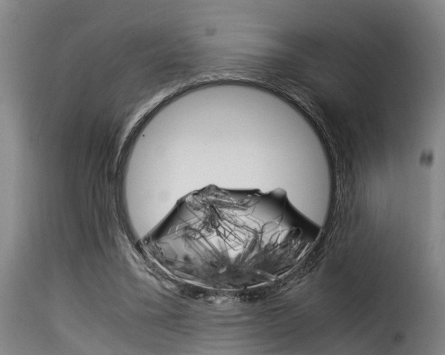 X0000116060395200911201205