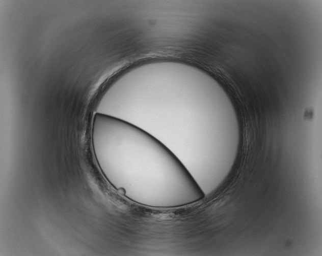 X0000116060396200911201205