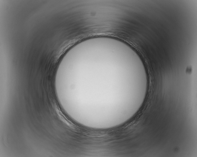 X0000116060397200911201205