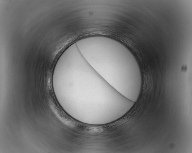 X0000116060398200911201205