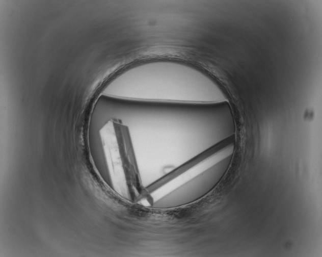 X0000116060399200911201205