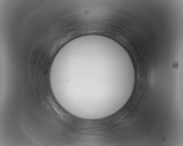 X0000116060401200911201205