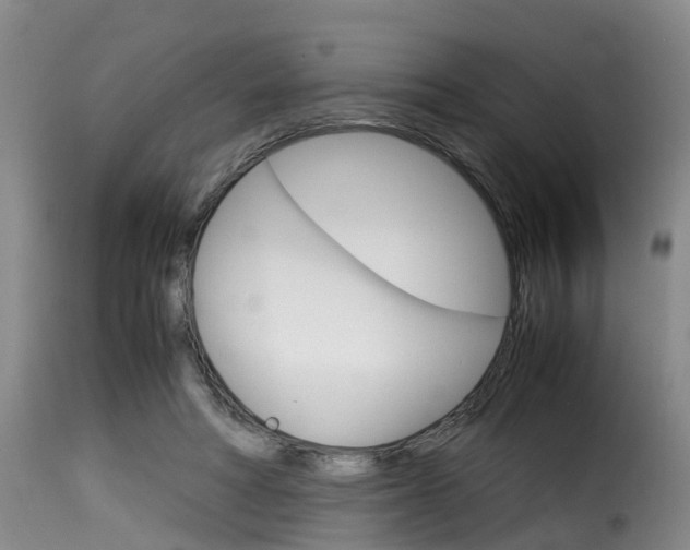 X0000116060402200911201205