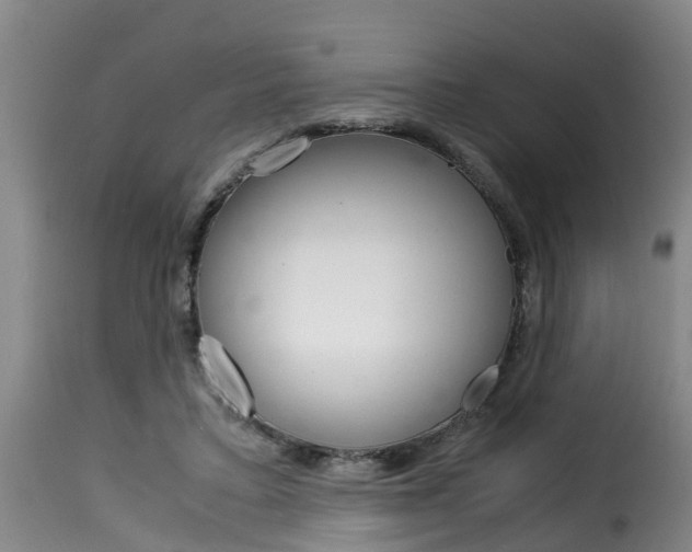 X0000116060403200911201205