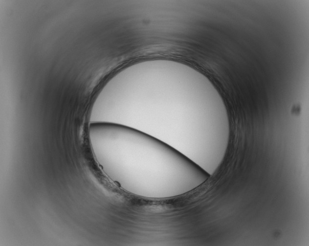 X0000116060404200911201205