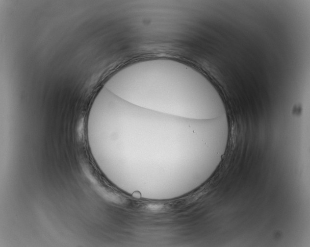 X0000116060406200911201205