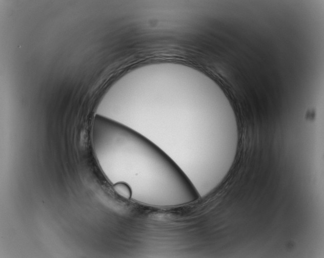 X0000116060408200911201205