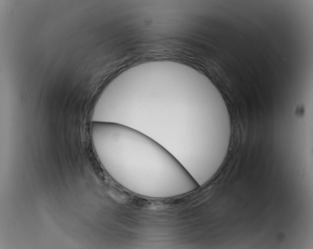 X0000116060416200911201205