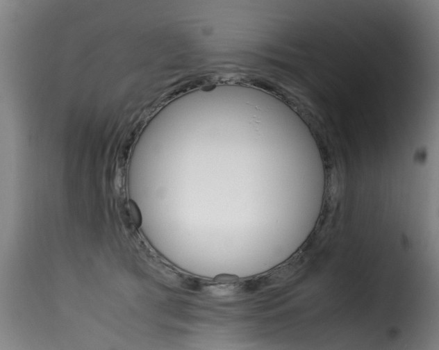 X0000116060417200911201205