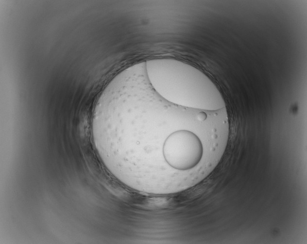 X0000116060418200911201205
