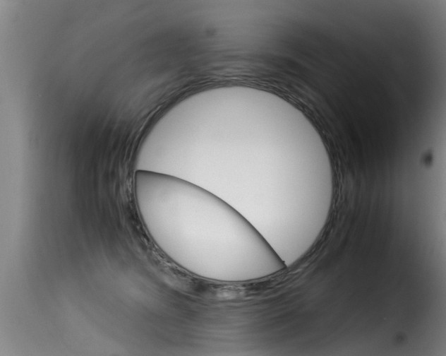 X0000116060420200911201205