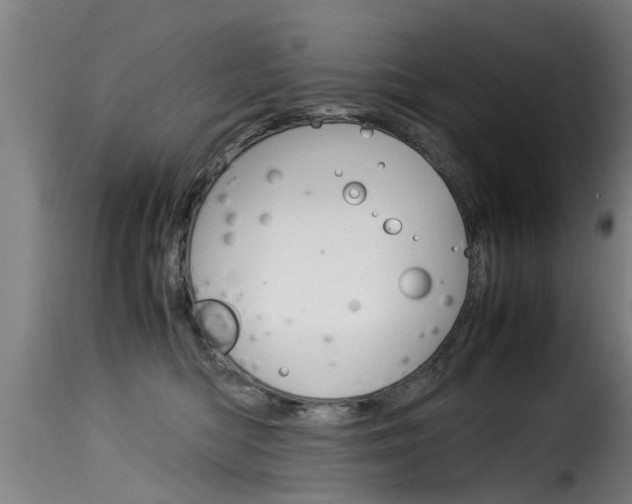 X0000116060422200911201205