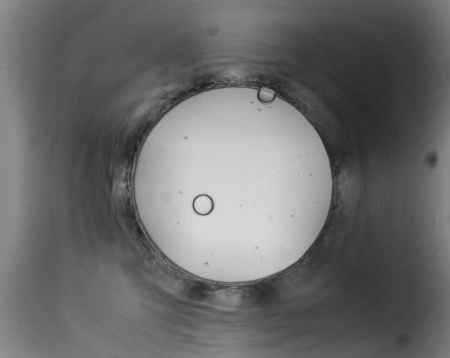 X0000116060423200911201205