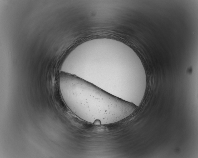 X0000116060424200911201205