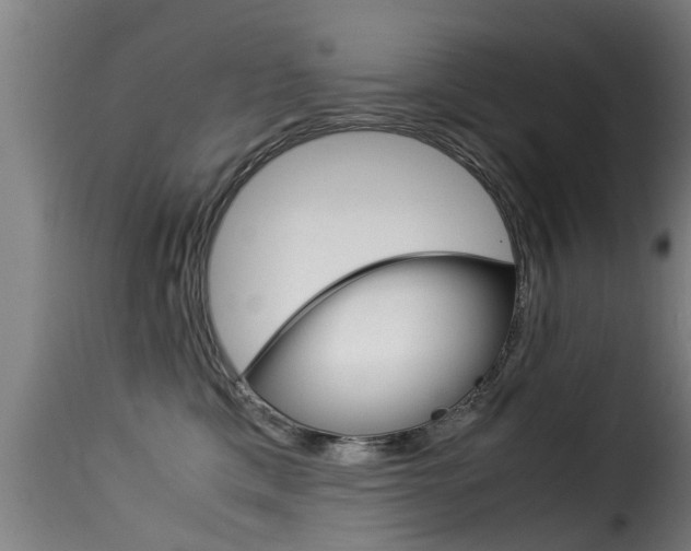 X0000116060425200911201205