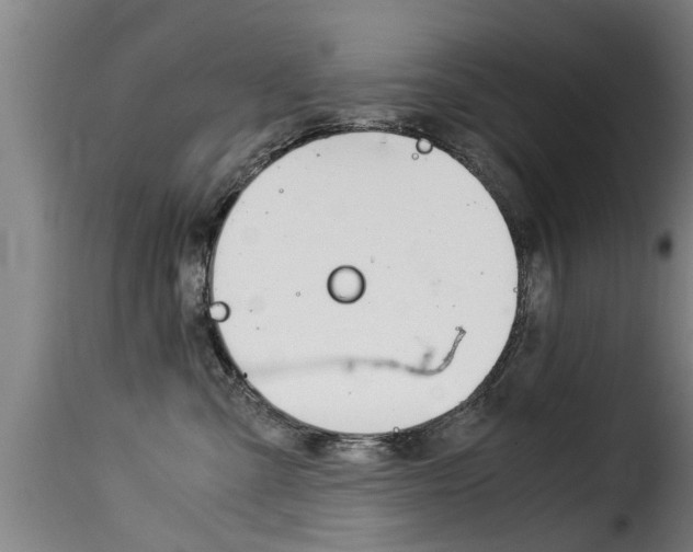 X0000116060427200911201205