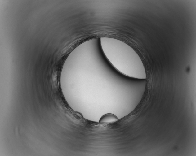 X0000116060428200911201205
