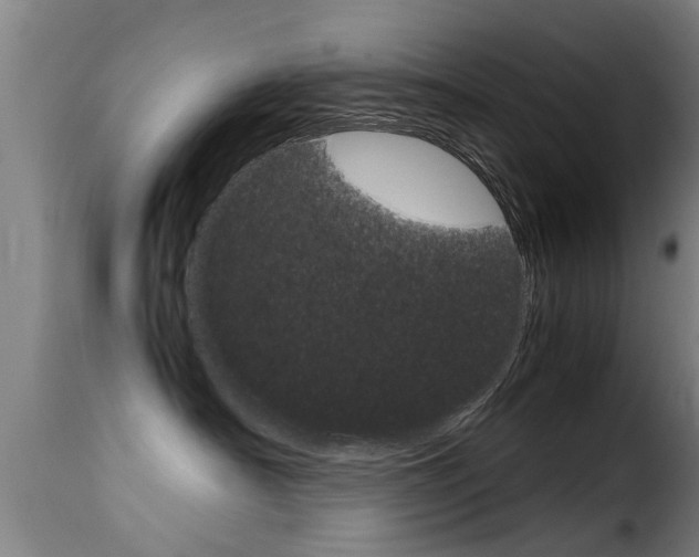 X0000116060430200911201205