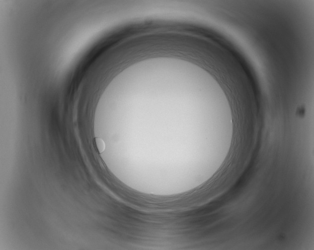 X0000116060431200911201205