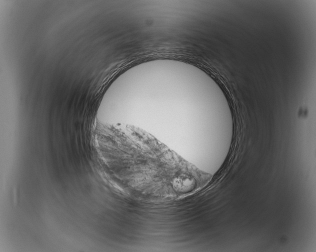 X0000116060432200911201205