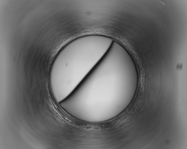 X0000116060434200911201204