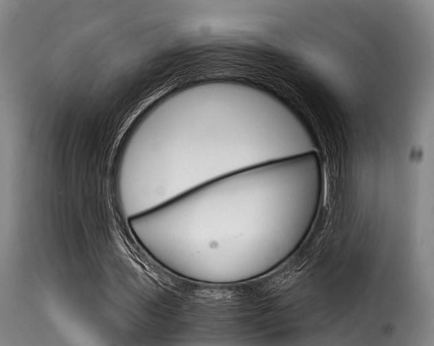X0000116060435200911201204