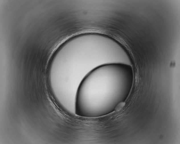 X0000116060436200911201204
