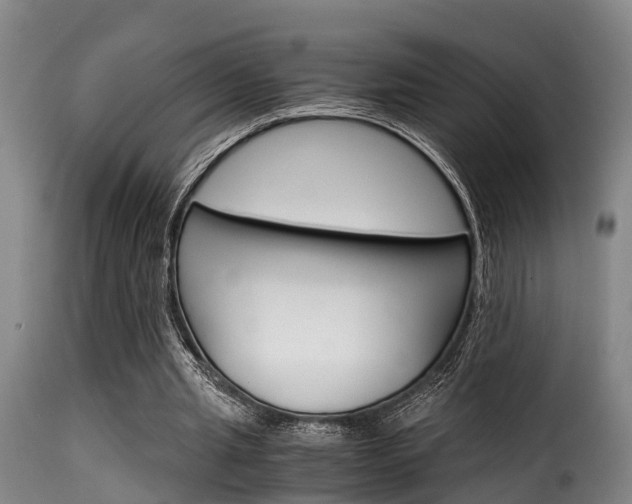 X0000116060437200911201204