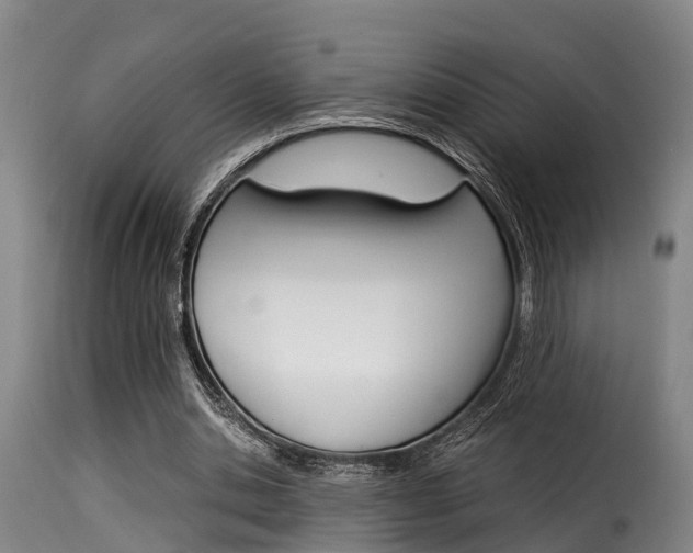 X0000116060438200911201204