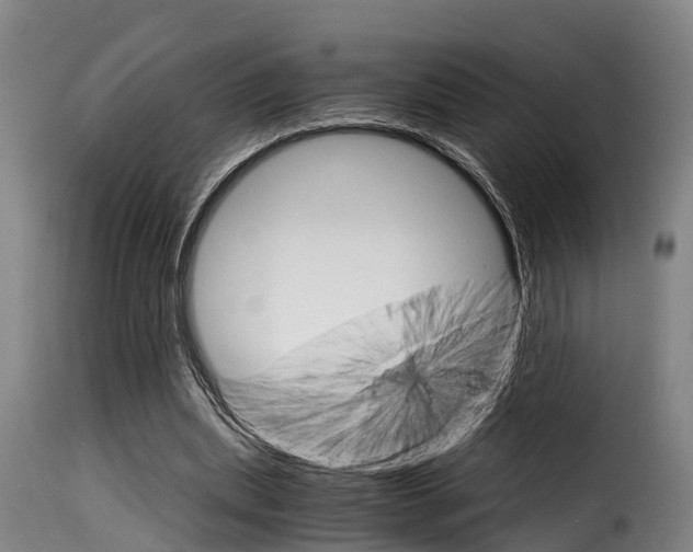 X0000116060439200911201204